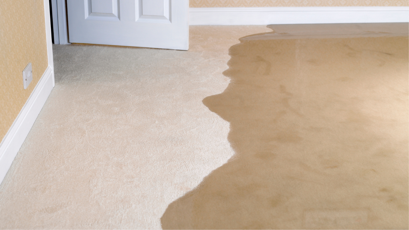 water damage restoration