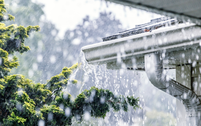 Is Your Greenville Home Ready for Spring Showers? (And What’s Hiding in Your Crawl Space)