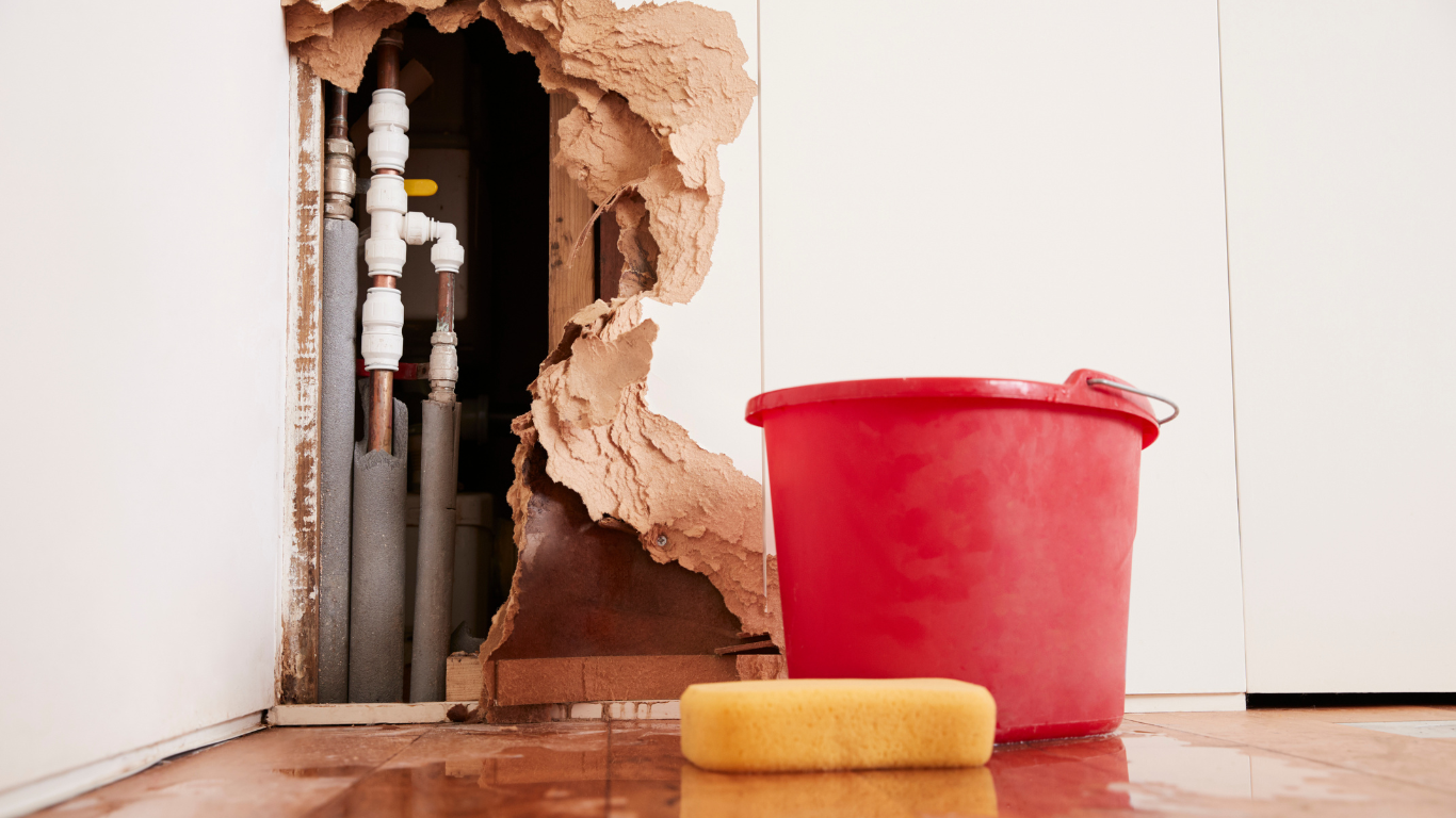 Water Damage Restoration