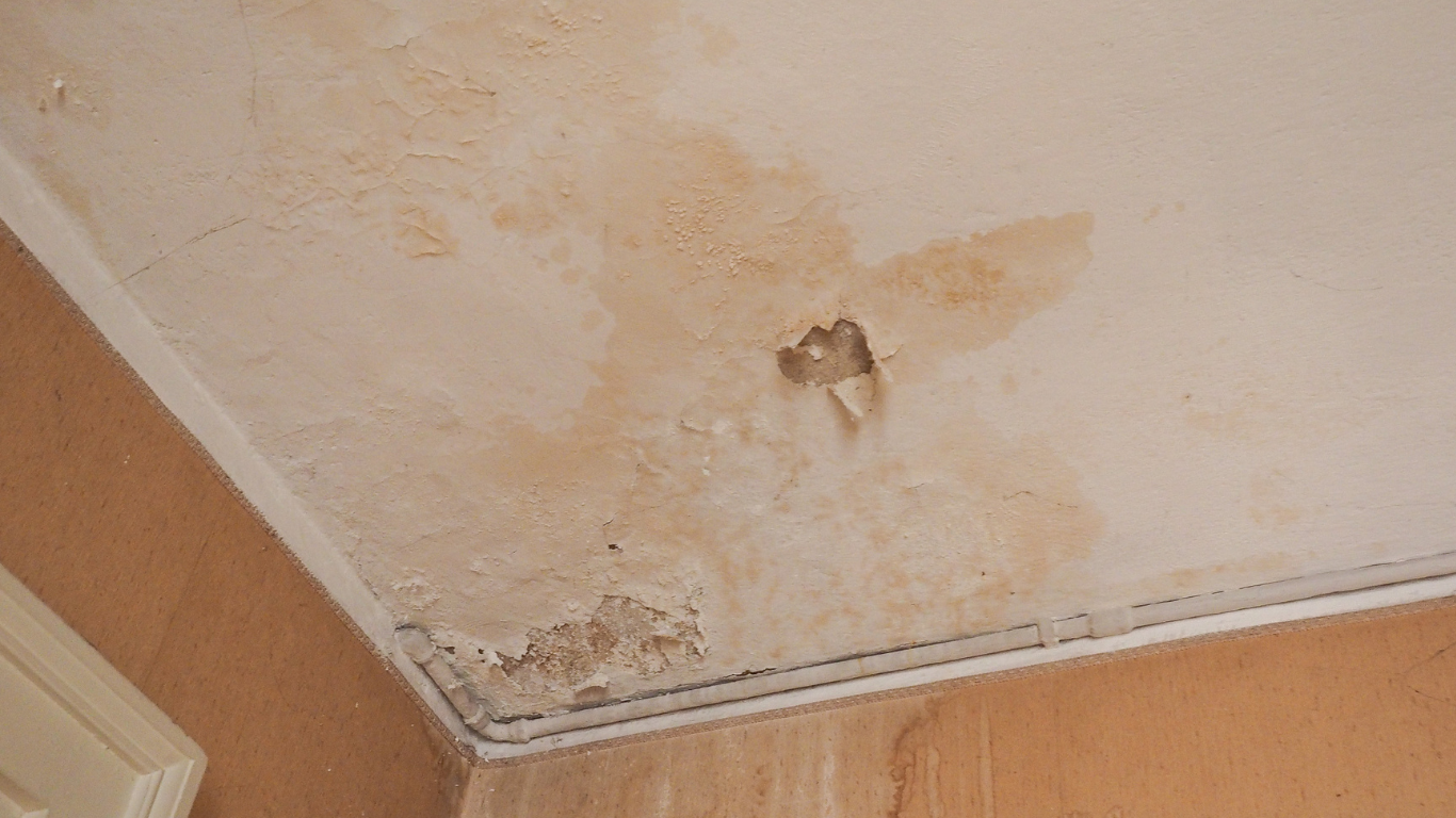 Why Fast Water Removal is Critical After a Leak Damp ceiling