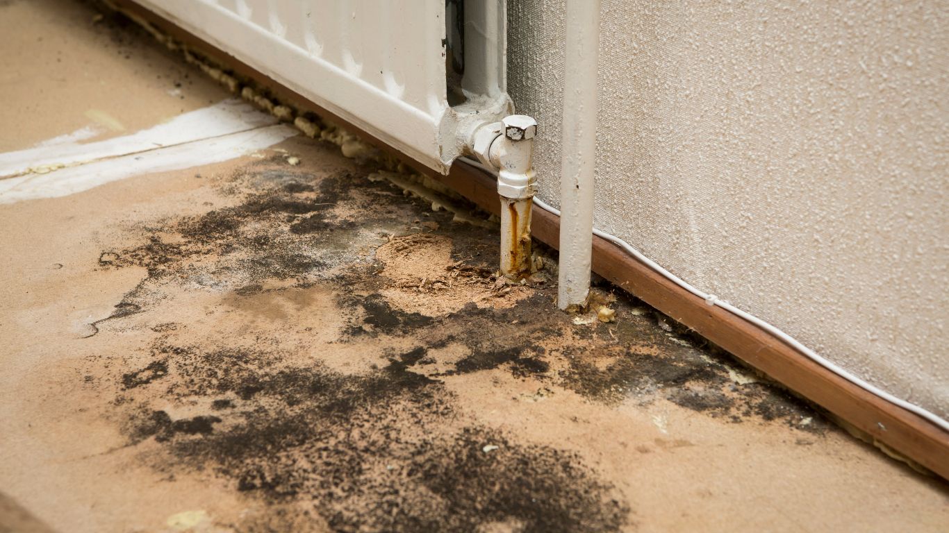Black mold growth around a leaking radiator pipe on a damp, contaminated floor.