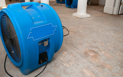Why DIY Drying Is No Match for Water Damage Restoration in Euless TX