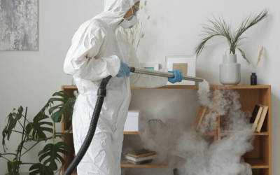 How Long Does Odor Removal in Grapevine Take to Work