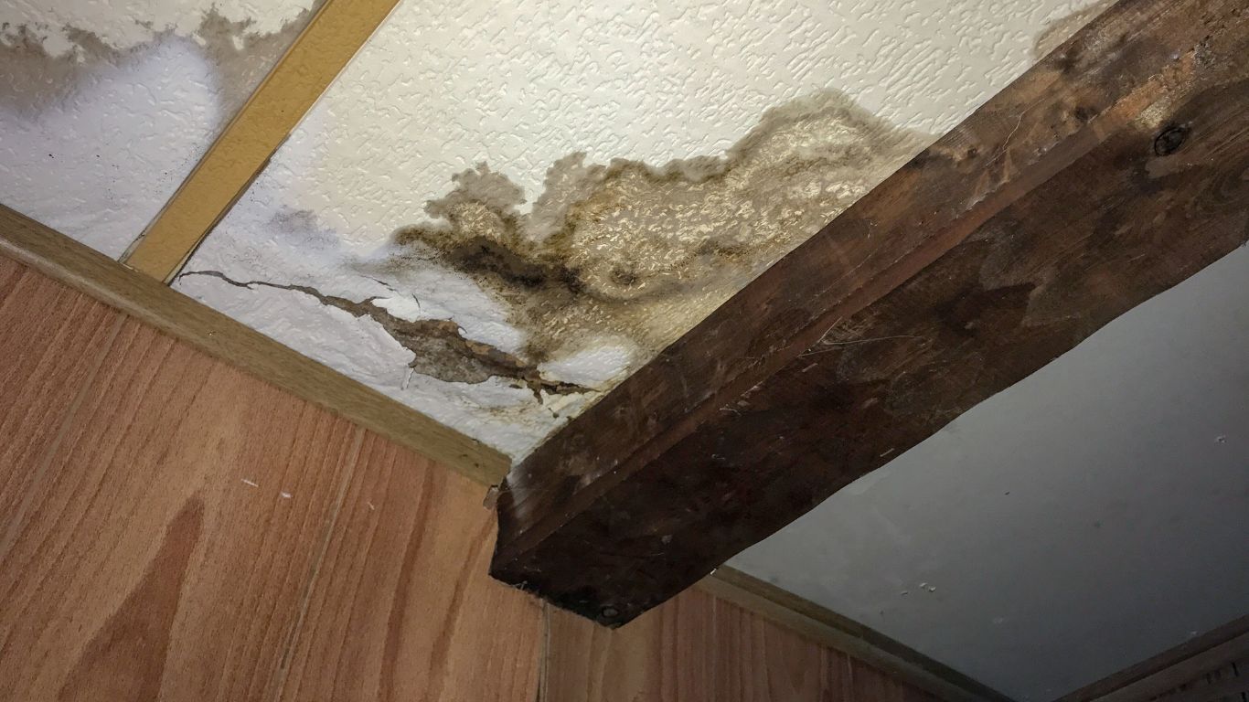 Water Damage Restoration Blog – All Dry Services of Denver Understanding the Process of Water Damage Restoration in Denver, CO