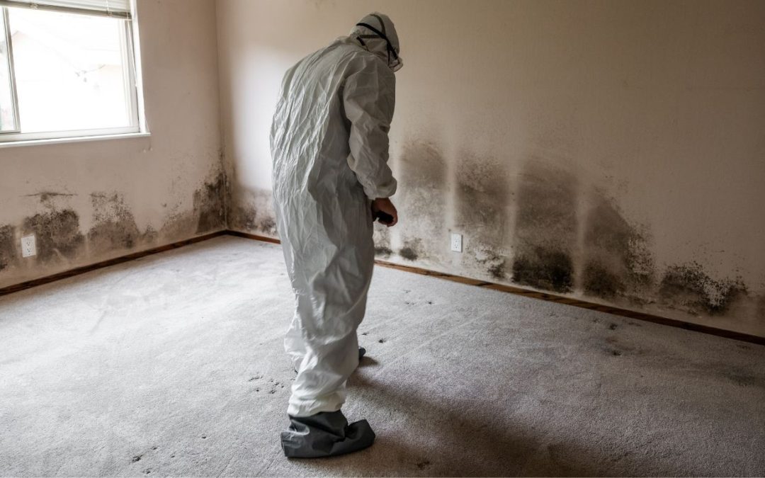 Why Should You Get Professional Mold Remediation in Richmond, VA?
