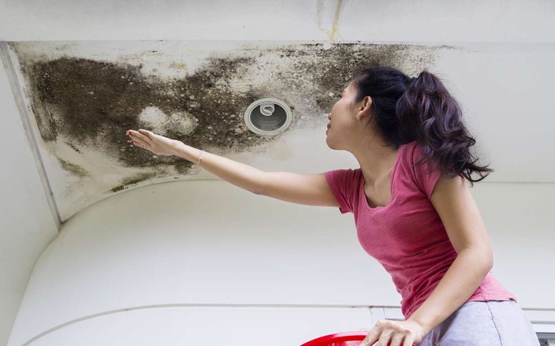 A Comprehensive Guide to Water Damage Restoration