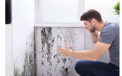 Identifying Early Warning Signs of Mold In Your Residence