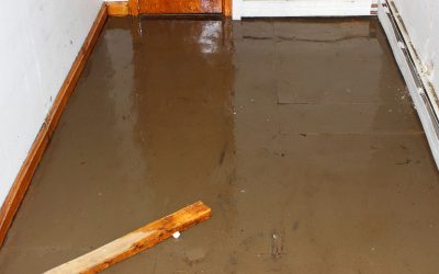 Sewage Cleanup Isn’t Fun But All Dry’s Team Makes It Easy
