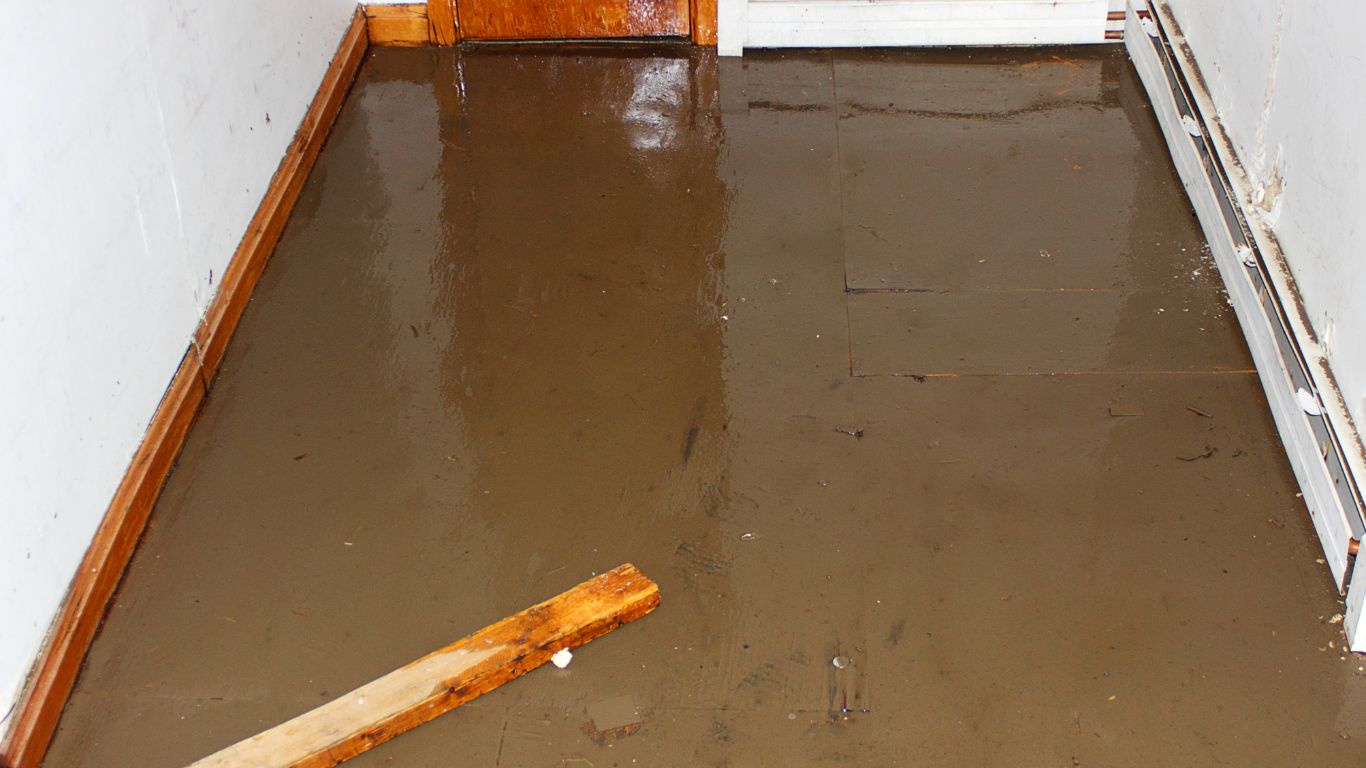 Sewage Cleanup Isn’t Fun But All Dry’s Team Makes It Easy Sewage cleanup in progress, restoring a flooded room to a clean and safe environment.