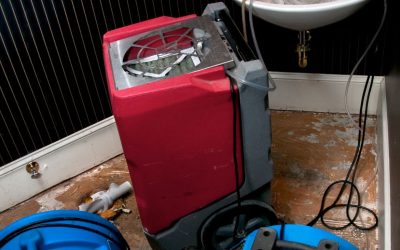 When Life Gets Messy Sewage Cleanup in Port Charlotte Makes It Better
