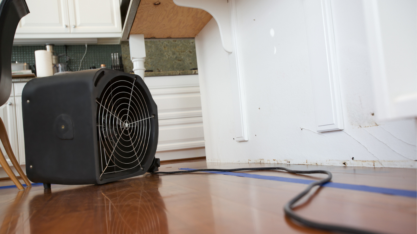 Florida Gulf Coast water damage restoration