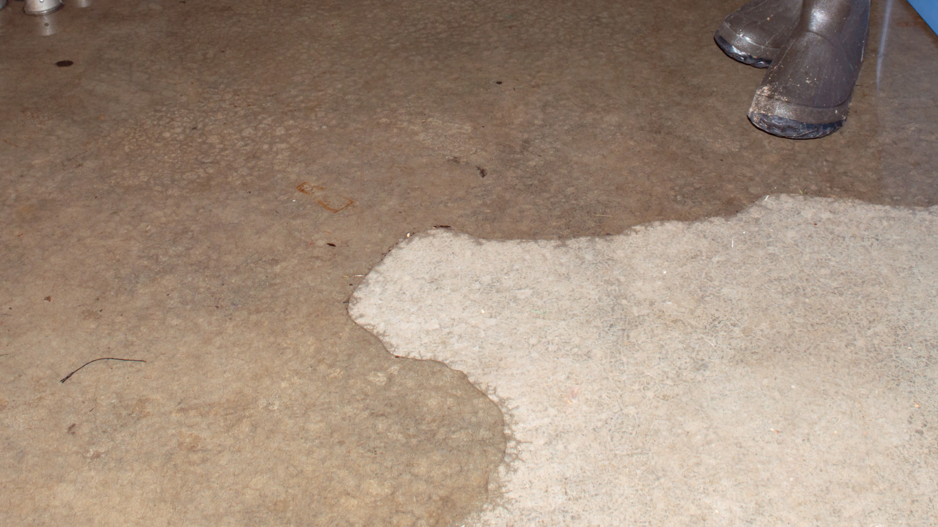 flood damage restoration