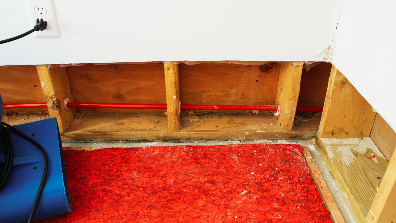 The-Importance-of-Fast-Structural-Drying-After-Water-Damage-