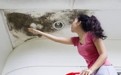 A Comprehensive Guide to Water Damage Restoration