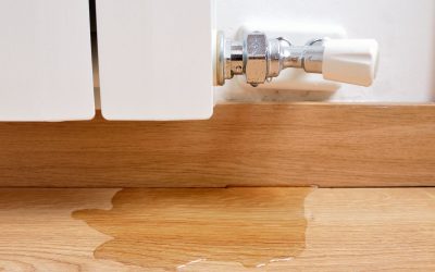 Find That Sneaky Leak With Smart Leak Detection and Save Your Sanity