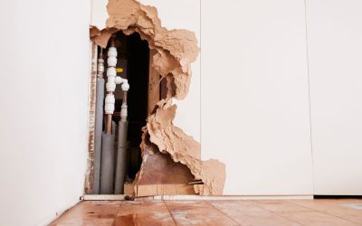Why Waiting Won’t Work, and Quick Water Damage Restoration Does Wonders