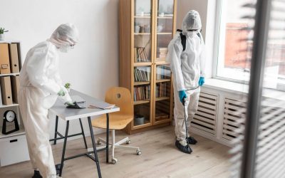 Turn Business Blunders Into Success Stories With Trusted Commercial Restoration