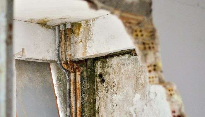 wall and pipe mold - mold removal davidson