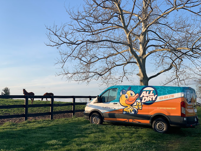 All Dry Mold and Water Damage Truck - sewage cleanup