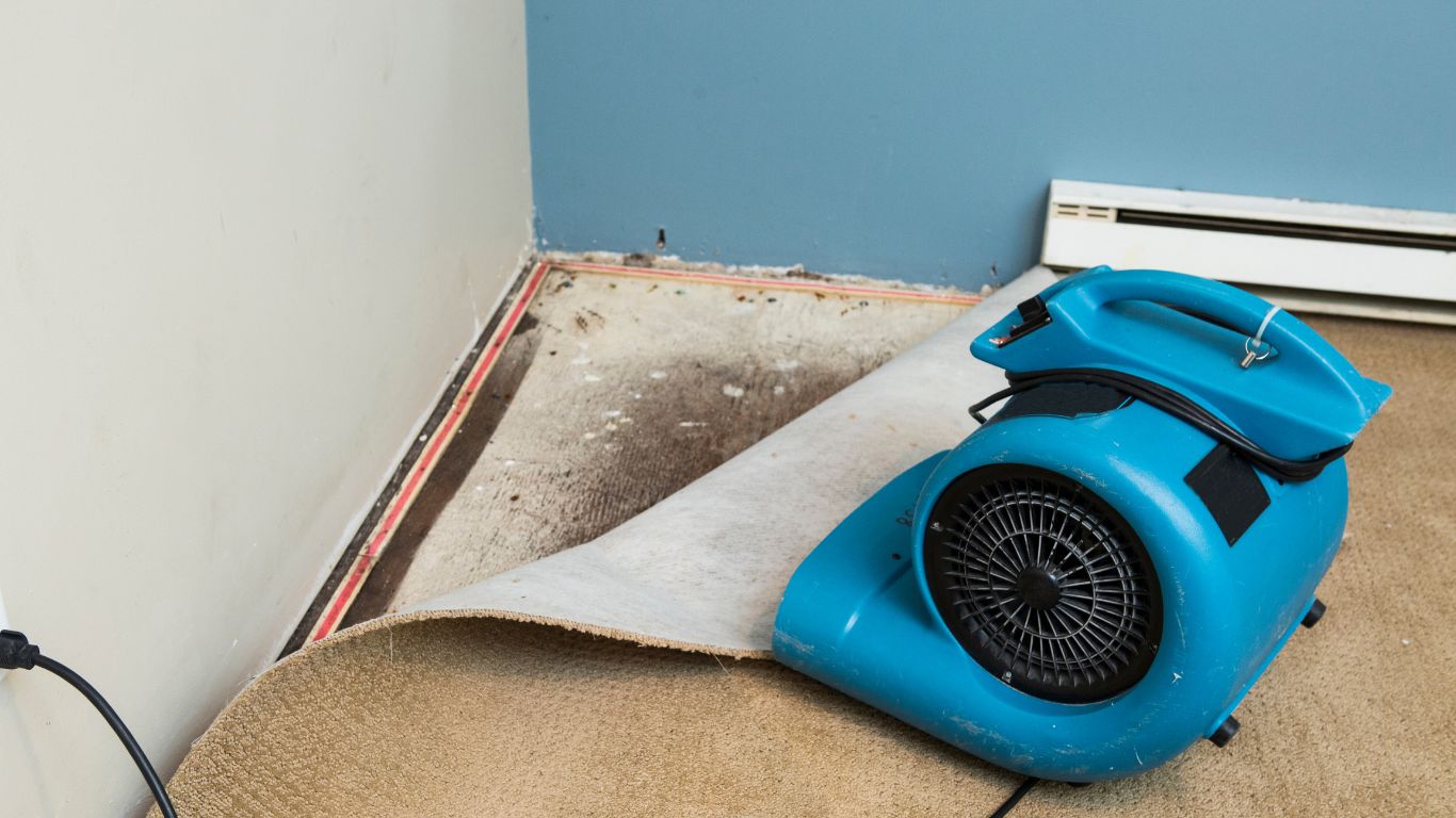 Flood Damage Restoration Experts Making Nashville Homes Feel Whole Again A fan drying wet carpet after flood damage restoration to prevent mold and water damage.