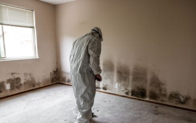 How Mold Remediation in Nashville Brings Fresh Air Back Indoors