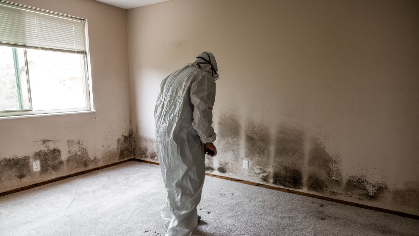How Mold Remediation in Nashville Brings Fresh Air Back Indoors Mold remediation in Nashville cleaning a room with visible mold on the walls.