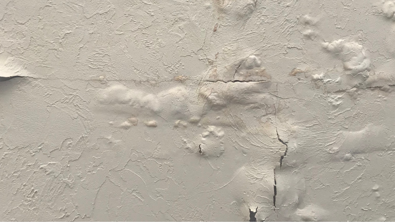 Water Damage Restoration in Balch Springs for Fast Emergency Response water damage restoration
