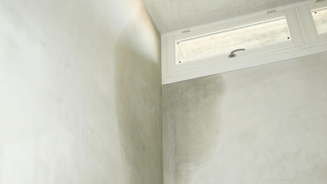 Water-stained wall indicating hidden moisture issue, leak detection in Metro South Texas.