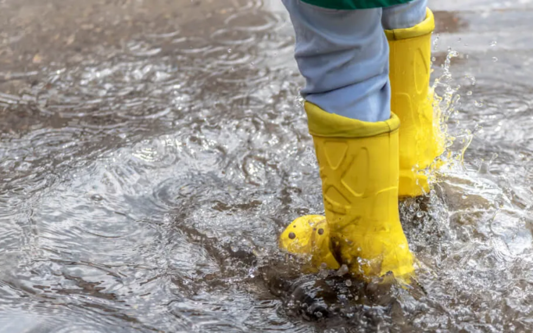 Water Mitigation in Metairie, LA: Minimizing Damage and Restoring Properties
