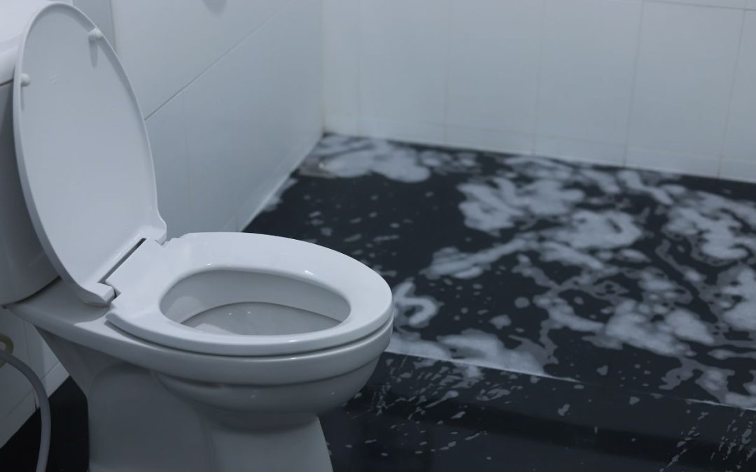 Why Sewage Cleanup Is Not a DIY Job and What to Do Instead