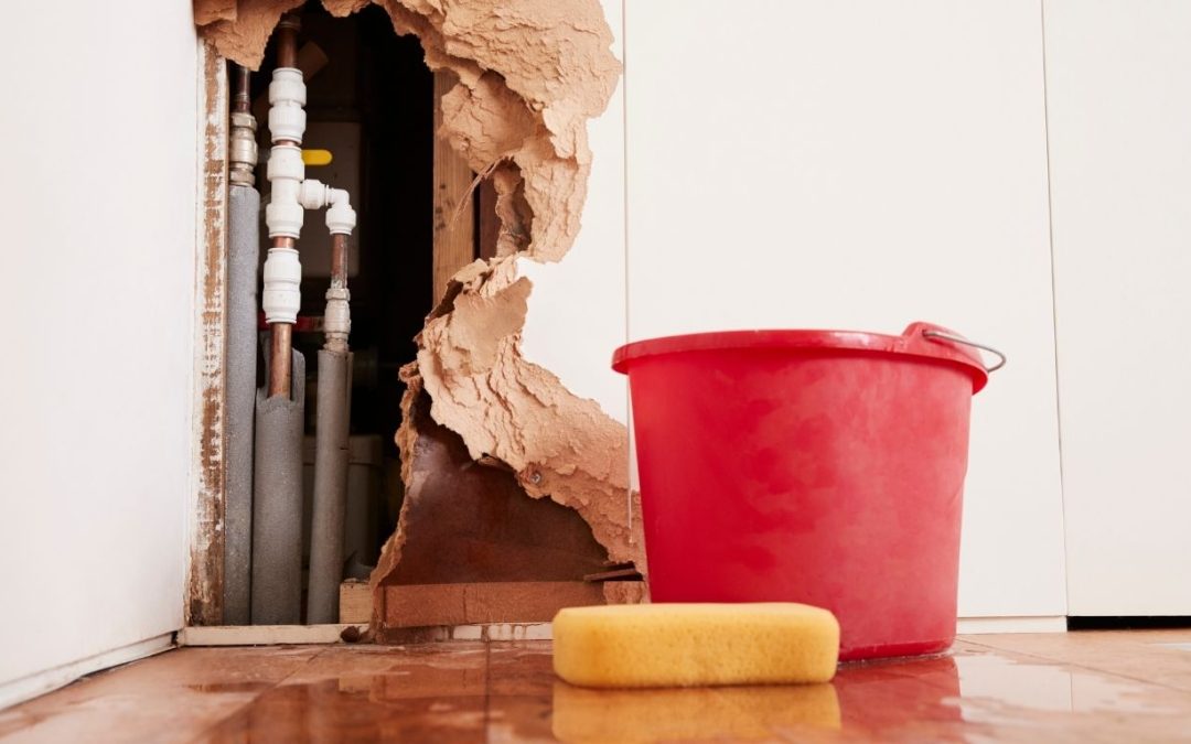 Top Reasons for Choosing Water Damage Restoration in Covington, LA