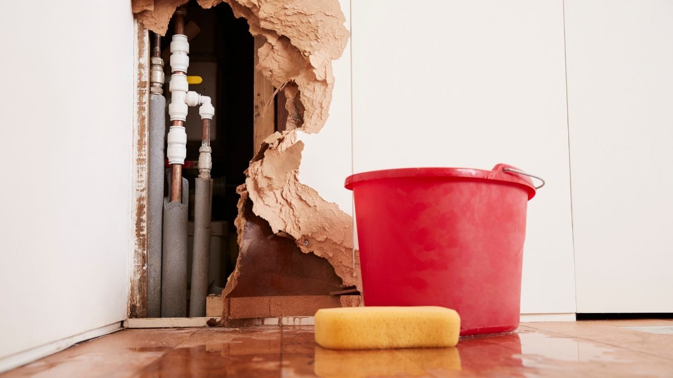 Top Reasons for Choosing Water Damage Restoration in Covington, LA water damage restoration in Covington, LA