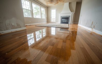 How Much Does Water Damage Restoration Cost in San Diego? (2026 Data)