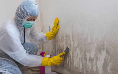 Certified Mold Remediation in Boulder, CO to Maintain Clean Indoor Air
