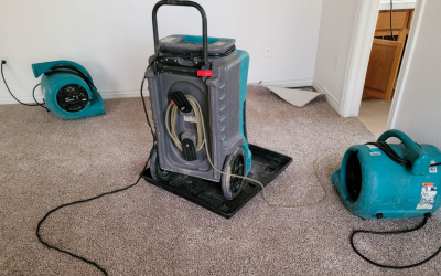Make Cleanup Easier With Water Damage Restoration in Broomfield