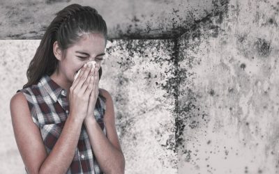 Understanding the Health Risks of Mold and the Importance of Remediation