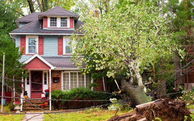 The Importance of Fast Storm Damage Restoration for Your Property