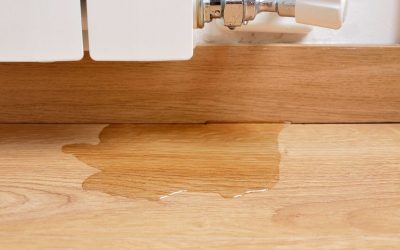 Professional Leak Detection Services in Boca Raton, FL