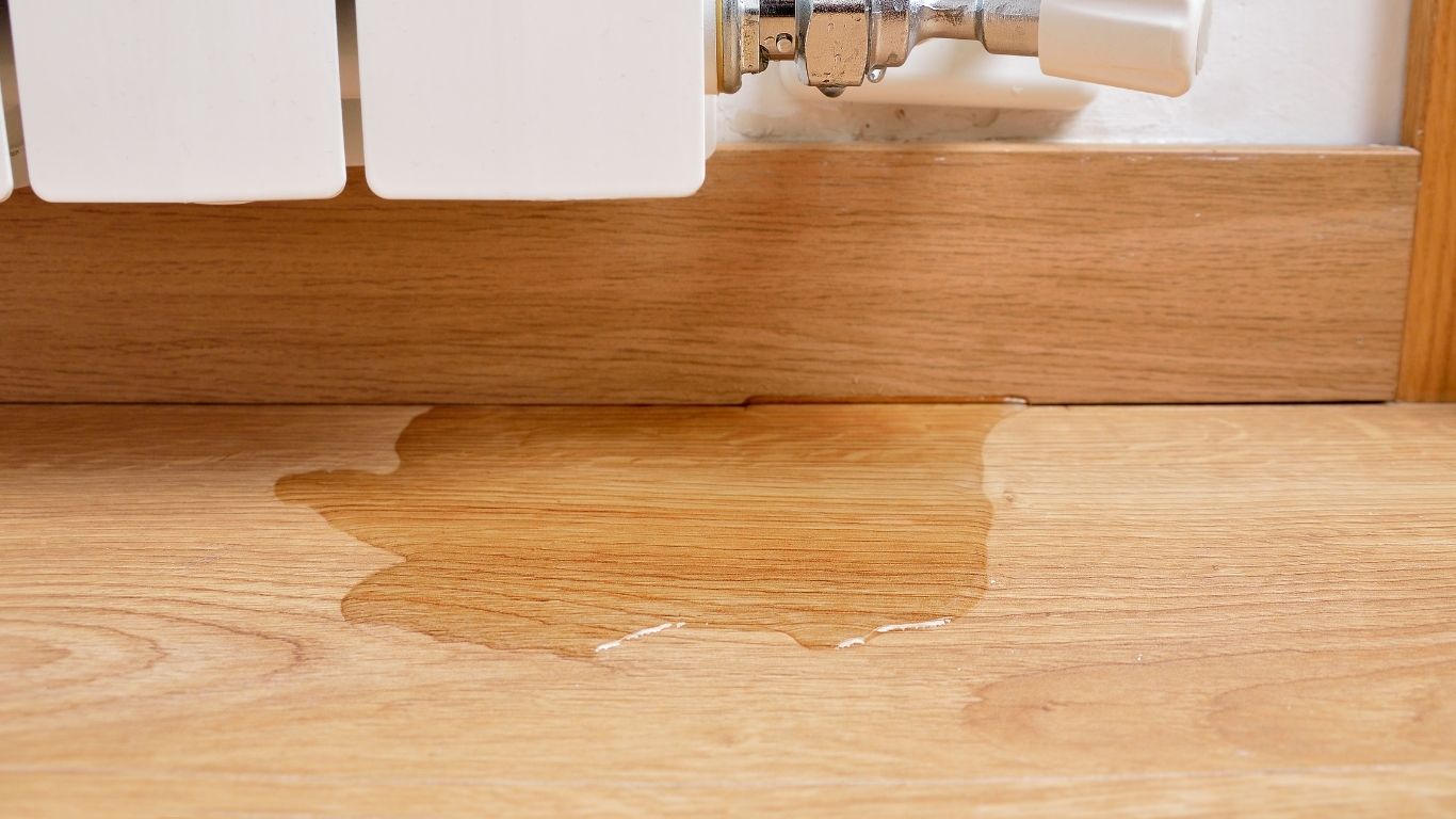 Professional Leak Detection Services in Boca Raton, FL leak detection services in Boca Raton, FL