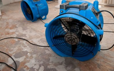 Choosing the Right Service for Water Damage Restoration in Phoenix AZ