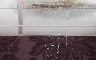 Protect Your Home with Leak Detection in Chandler, AZ