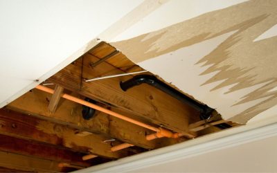 How Water Damage Restoration Services in Providence Can Save Your Home