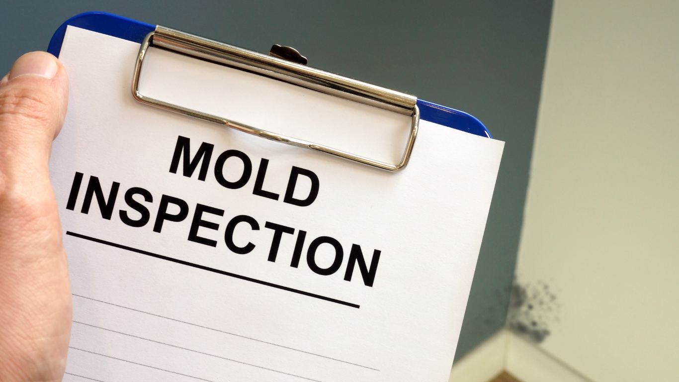 mold inspection Pawtucket