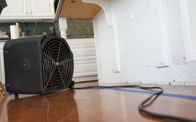 24/7 Water Damage Restoration in Providence, RI to Minimize Property Loss