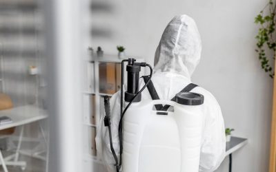 Why Odor Removal in Warwick Can Make Your Home Feel Fresh Again