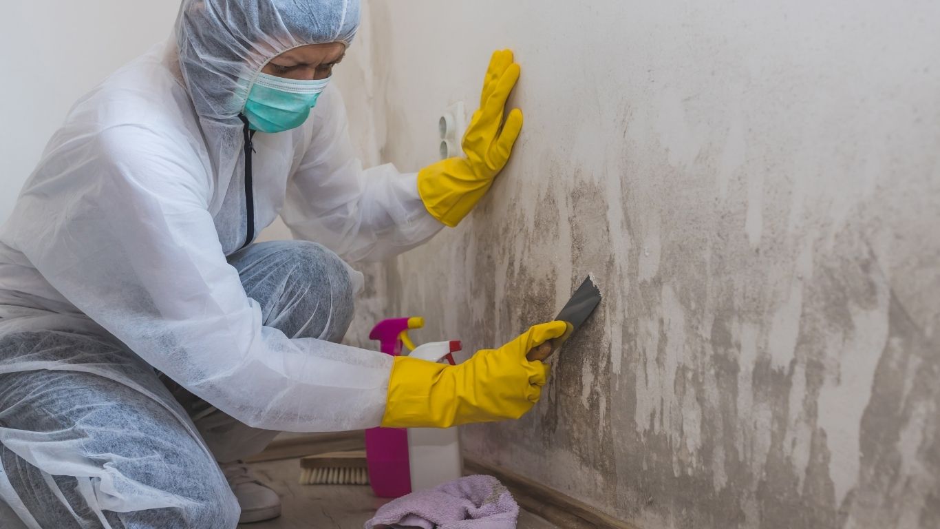 DIY vs Professional Mold Removal in Cranston, RI Mold removal Cranston, RI professional wearing protective gear and cleaning visible mold growth