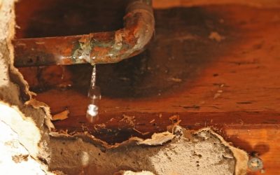 Fast Leak Detection in Providence to Prevent Winter Freezes