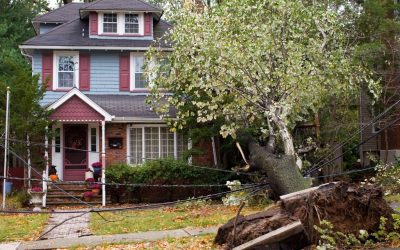 Storm Damage Restoration Tips for Newport Coastal Homes