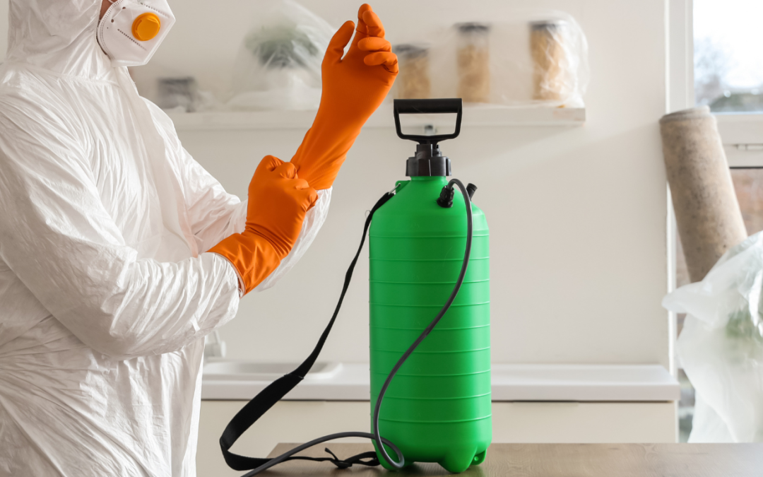 How Odor Removal Service in Plymouth Fixes Stubborn Home Odors