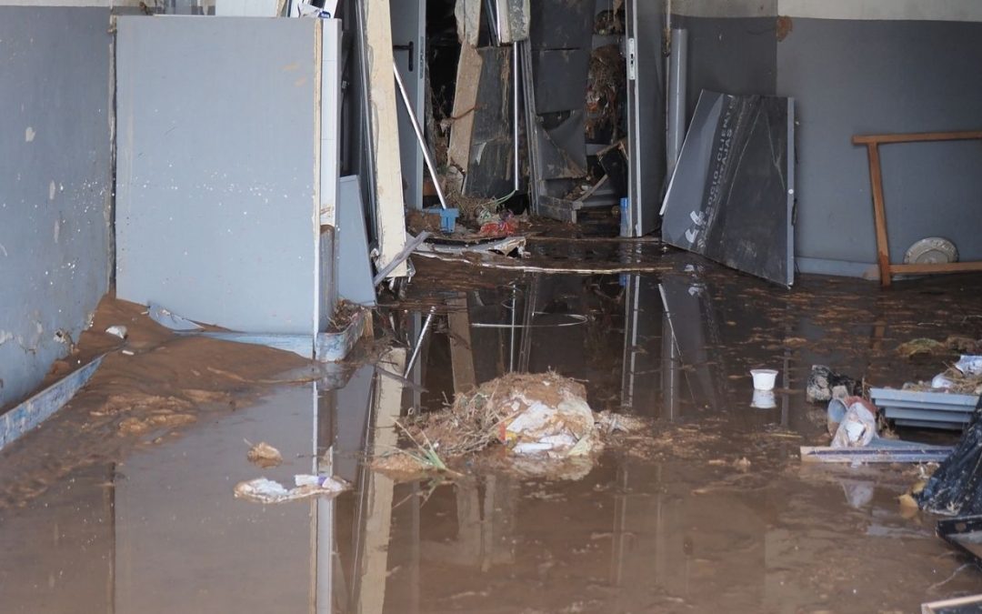 Local Experts for Rapid Water Extraction in Hingham, MA